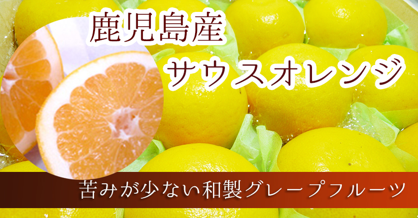 鹿児島産 サウスオレンジ 高井屋 鹿児島産 サウスオレンジ 高井屋