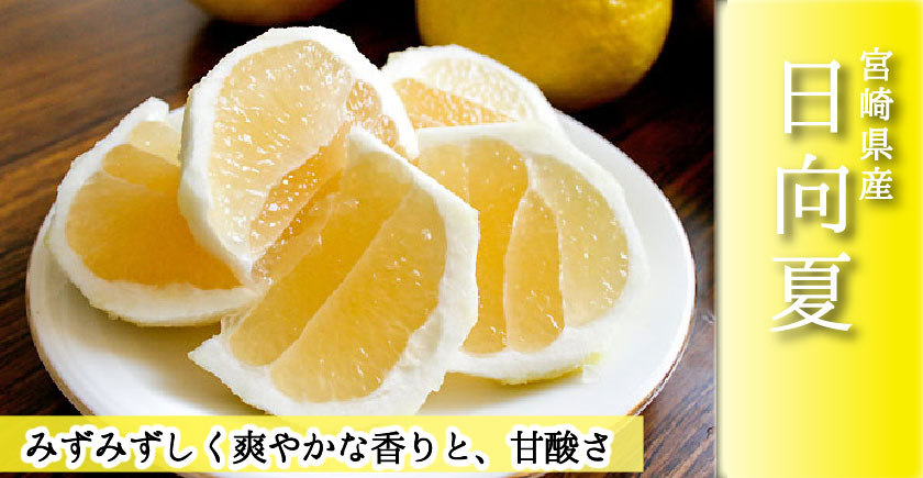 古典 なめらかつややかしっとり日向夏 500ml×24本 日向夏 ひゅうがなつ 宮崎 宮崎県 ニアウォーター 柑橘 果汁 みやざき犬 ひぃ 美味しい  500ml assessoriarealizze.com.br