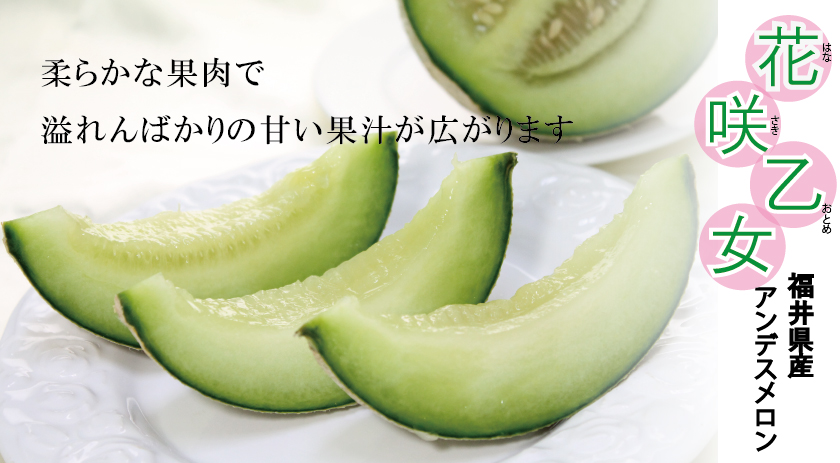 福井産 アンデスメロン 高井屋