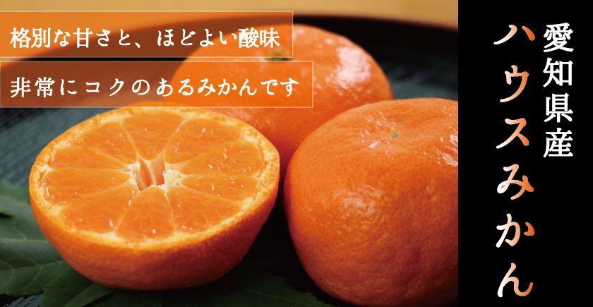 ◇ 愛知産【ハウスみかん】 | 高井屋 ◇ 愛知産【ハウスみかん】 | 高井屋