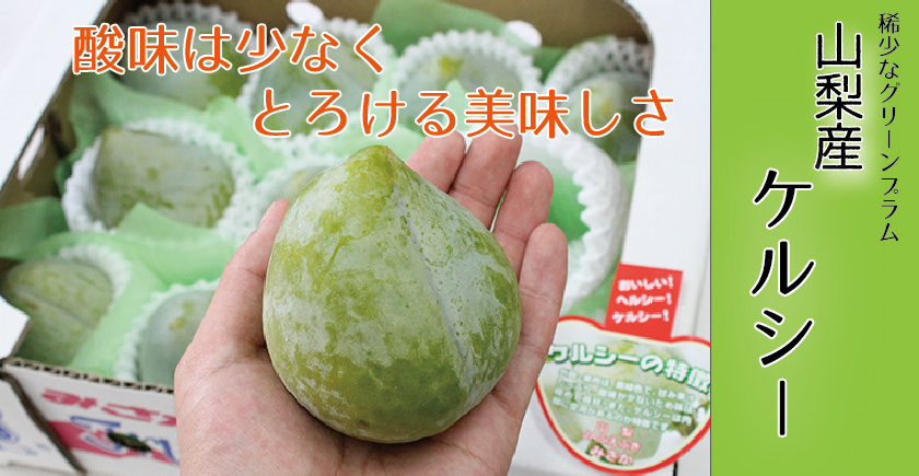 山梨産 ケルシープラム 高井屋