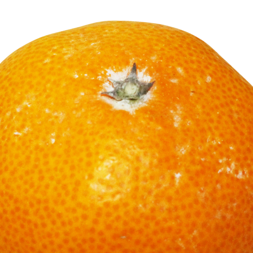 みかんの白い粉