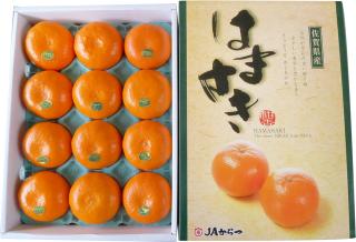 佐賀産 はまさき 高井屋 佐賀産 はまさき 高井屋