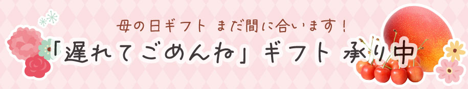 母の日遅れてごめんね