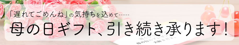 母の日遅れてごめんね